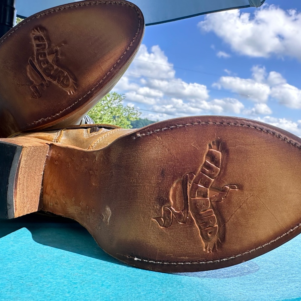 Brand new Freebird Sandra size 12